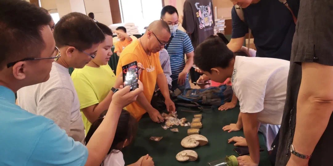 中国·金沙检测线路js95(股份)有限公司-Official website